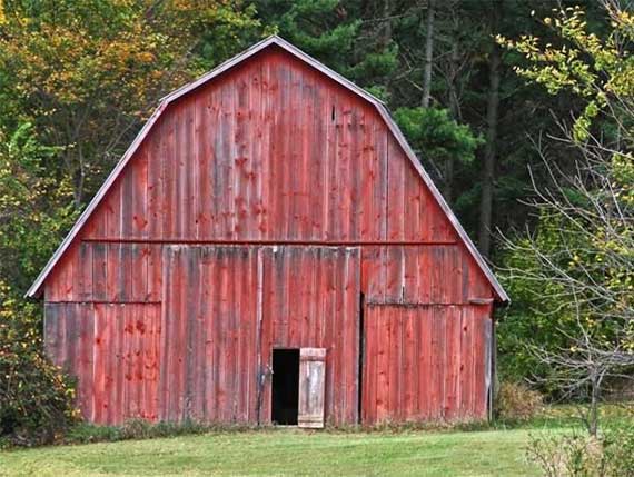 Barn-Shield Barn-Shield