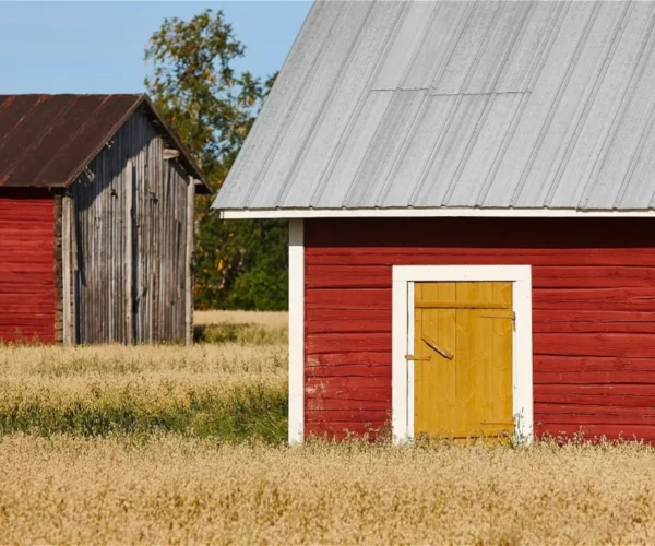 Replace-shed-roof-tips Replace-shed-roof-tips
