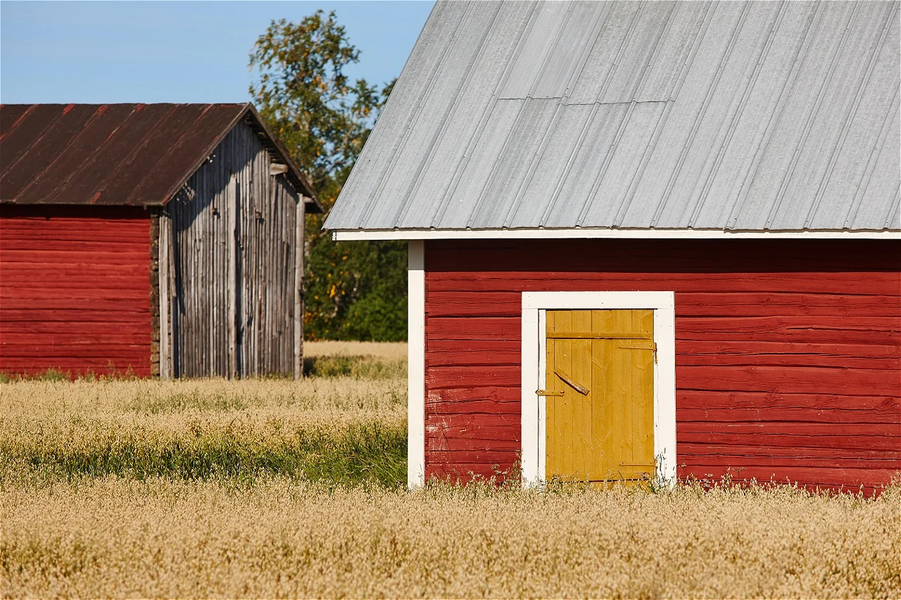 Replace-shed-roof-tips Replace-shed-roof-tips