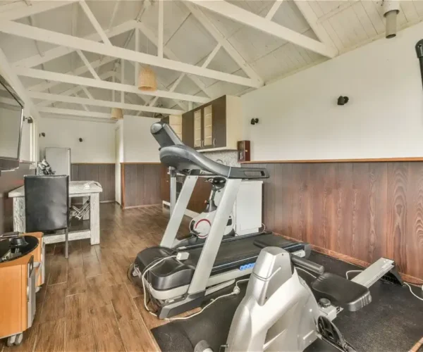 shed-home-gym shed-home-gym
